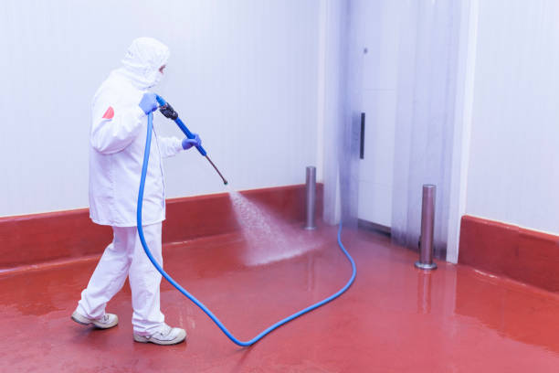 Best Soft Washing  in Palm Desert, CA